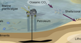 Screenshot of Carbon Cycle Gizmo