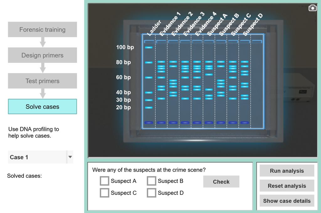 Screenshot of DNA Profiling Gizmo