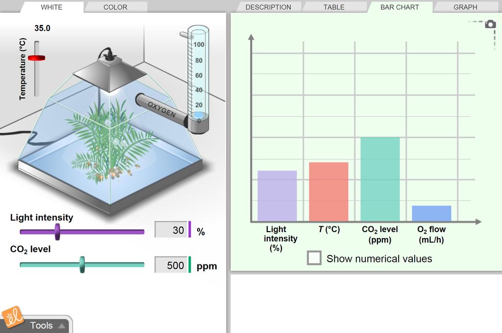 Screenshot of Photosynthesis Lab Gizmo
