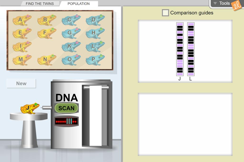 Screenshot of DNA Analysis Gizmo