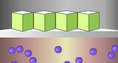 Screenshot of Boyle's Law and Charles's Law Gizmo