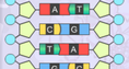 Screenshot of Building DNA Gizmo