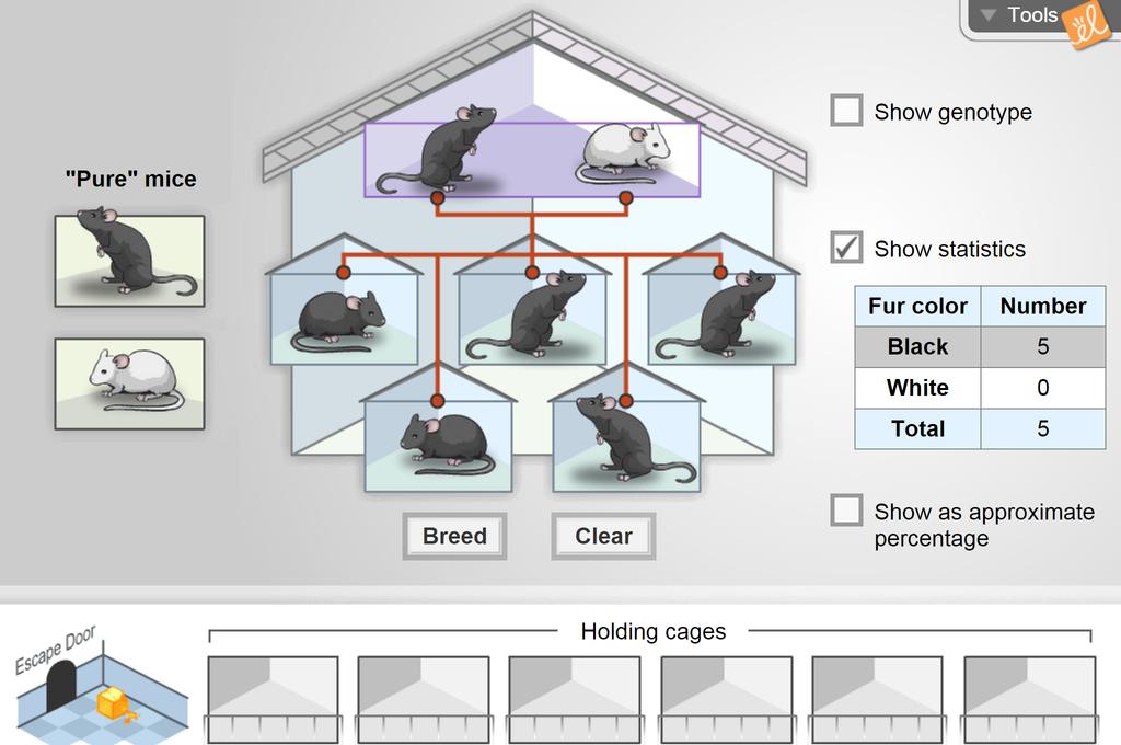 Mouse Genetics (One Trait) Gizmo