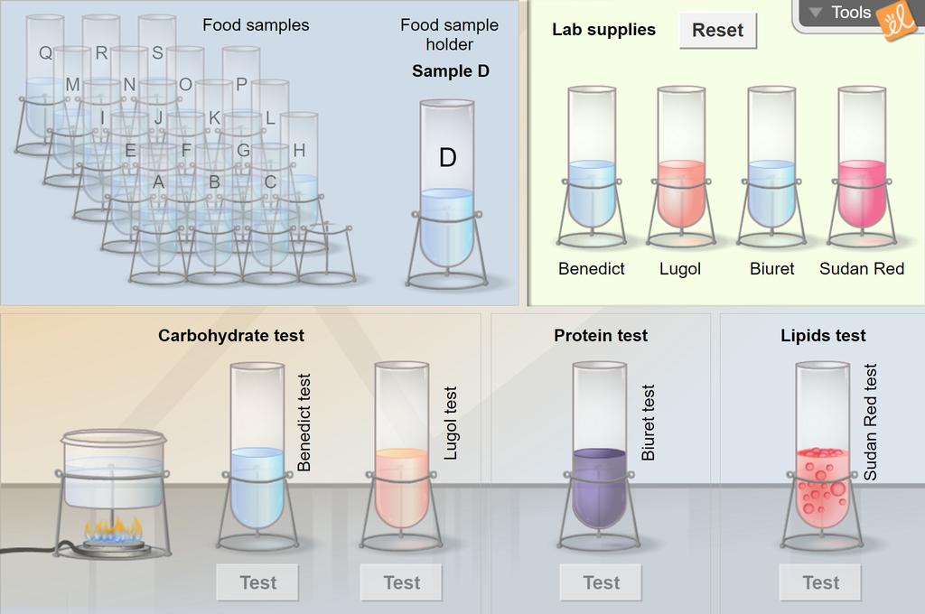 Identifying Nutrients Gizmo Lesson Info Explorelearning