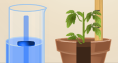 Screenshot of Growing Plants Gizmo